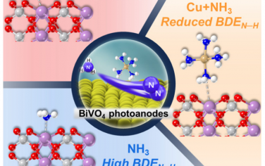 化学所Angew：Cu离子促进BiVO4光电催化氨氧化