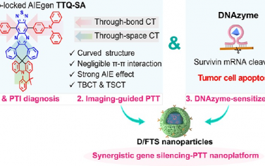 JACS：近红外螺环基AIE发光材料用于实现DNA酶增敏的光热治疗