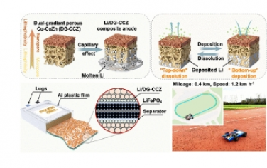 ACS Nano：通过双梯度多孔 CuCuZn 主体设计高性能锂金属电池