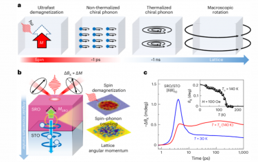 Nature Nanotechnology：氧化物异质结构中从自旋到声学手性声子角动量转化的实时动力学