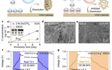 EES：通过界面水掩蔽减少阴极溶解以提高水性锌离子电池的寿命