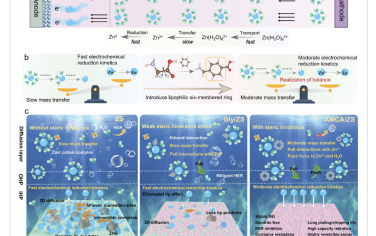 AEM：空间位阻效应对锌离子转移和还原动力学之间权衡的影响