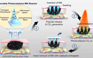 Nano Lett：可移动的光催化微针反应器可通过递送一氧化碳实现化疗增敏