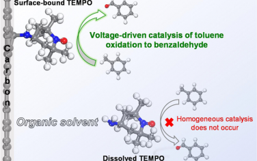 ACS Catal：电压驱动分子催化电化学氧化