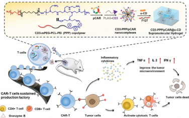 Adv. Mater：可注射的超分子水凝胶能够原位编程Car-T细胞以用于实体瘤免疫治疗