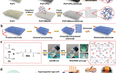 AFM：高延展性超级电容器型多功能自供电多孔电子皮肤