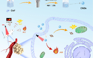 Anal. Chem：细胞衍生的N/P/S共掺杂荧光碳纳米点用于肿瘤特异性光学诊疗