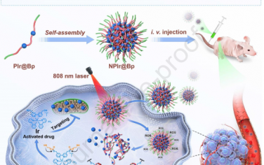 Biomaterials：Ir(III) Bodipy聚合物Gemini纳米粒子以用于近红外光激活的肿瘤选择性抗癌治疗