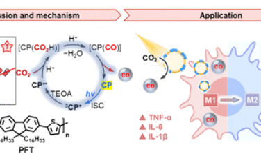 中科院化学所JACS：共轭聚合物光催化还原CO2以及巨噬细胞转化