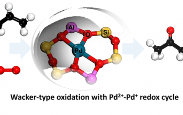 南开大学JACS：Pd单原子/分子筛Wacker烯烃氧化