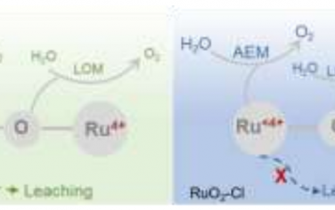 温州大学&深圳大学&浙江大学Angew：RuO2中的残留Cl增强酸性OER稳定性和活性