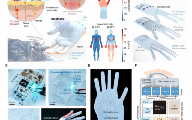 Science Advances：完全集成的透气触觉纺织品