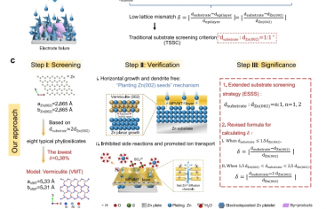 Nat Commun：一种扩展的衬底筛选策略，可实现高度可逆的锌阳极的低晶格失配