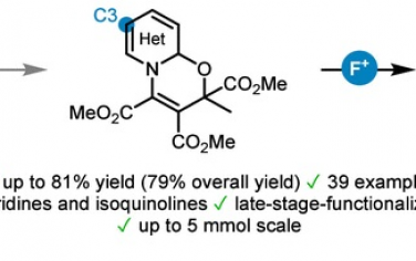 JACS：吡啶、异喹啉以恶嗪氮杂芳烃中间体实现间位选择性C-H键氟化