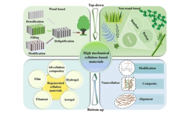Chem Soc Rev：“自下而上”和“自上而下”的策略，打造坚固的纤维素基材料