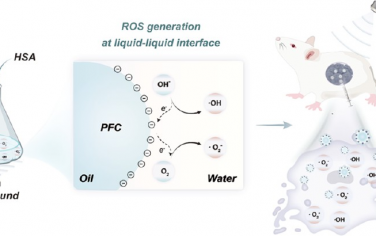 JACS：全氟化碳-水(液-液)界面接触起电产生自由基以用于癌症治疗