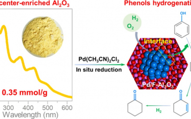 郑南峰院士JACS：富含氧缺陷的Al2O3原位还原Pd催化苯酚选择性加氢