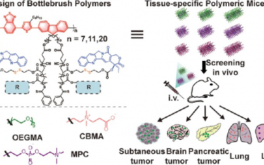 ACS Nano：量身定制的诊疗瓶刷聚合物用于靶向实体肿瘤