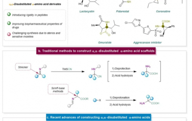 Nat. Commun.：α，α-二取代α-氨基酸合成的挑战和最新进展