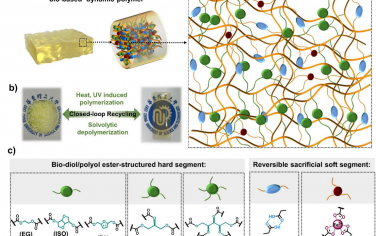 Angew：可闭环回收的（酯-二硫）聚合物塑料