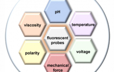Chem. Rev.：检测细胞物理微环境的荧光探针设计与应用