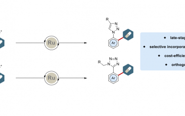 Angew：Ru催化C-H活化安装N-芳基三唑/四唑