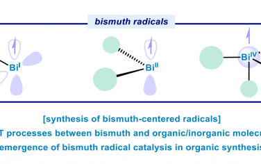 Angew综述：Bi自由基和Bi催化的发展