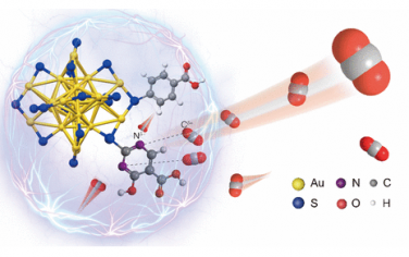 JACS：配体调控Au纳米簇局部环境改善电催化还原CO2