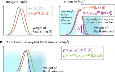 Nature Physics：量子误差缓解限制的界限呈指数级收紧