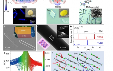 Science Advances：用于可穿戴太阳能热电发电的 NIR-II 电荷转移共晶的可拉伸光热膜