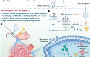 Adv. Mater：氢键有机框架纳米闪烁体用于实现X射线诱导的肝细胞癌光动力治疗