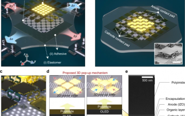 Nature Communications：用于可拉伸OLED的3D高度交替岛阵列，具有高活性面积比和最大应变