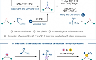 Nature Commun：Ag催化氧-碳置换反应合成环丙烷