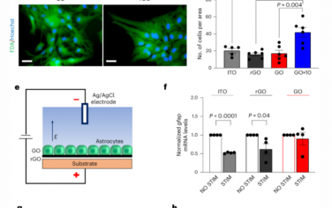Nature Nanotechnology：氧化石墨烯电极能够电刺激大脑星形胶质细胞中不同的钙信号