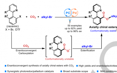 上海交大Angew：光催化-Pd催化协同从消旋的原料合成轴手性化合物