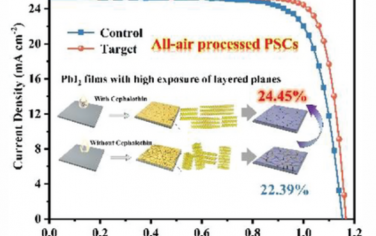 AEM：实现全空气处理钙钛矿太阳能电池的高层取向PbI2薄膜
