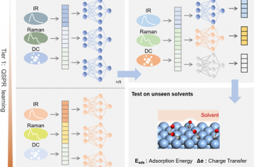 中科大JACS：机器学习光谱信息实时获取固液界面吸附性质