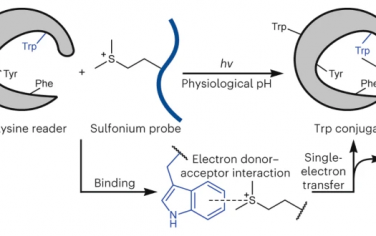 西湖大学Nature Chem：锍和色氨酸单电子转移实现位点选择性阅读器蛋白光化学交联