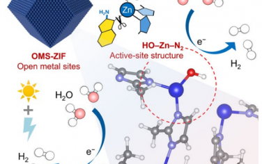 华中师范大学&维也纳技术大学Angew：设计HO-Zn-N2活性位点增强ZIF电催化制氢性能