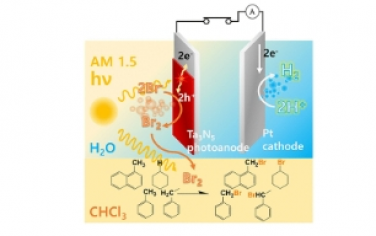 JACS：两相电解质中溴演化反应的高选择性串联光电化学 C−H 活化