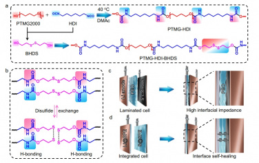 Nat Commun：用于长循环固态锂硫电池的界面自修复聚合物电解质