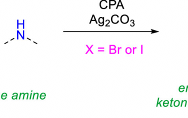 香港科技大学JACS：有机胺对α-卤羰基化合物不对称亲核氨基化