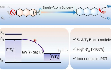 Nano Lett：对无重原子光敏剂进行芳香性调节以实现单线态分裂增强的免疫原性光动力治疗