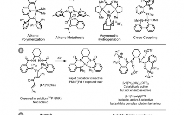 Nat Commun：适用于不对称烯丙基烷基化化学的手性、空气稳定且可靠的 Pd(0) 预催化剂