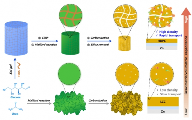 Energy Environ. Sci.：纳米限制碳化使高密度多孔碳能够实现优异的重量和体积锌离子存储