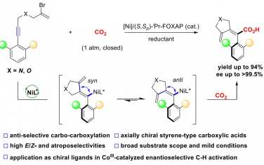 四川大学&四川师范Angew：Ni催化CO2对炔烃羰基化