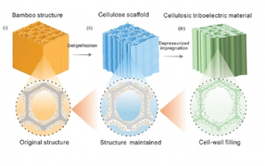 Nano letters：细胞壁纳米工程使轻质和强韧的纤维素摩擦电材料成为可能