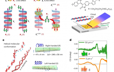 Nature Materials：π-共轭聚合物手性组装中反手性诱导的自旋选择性效应