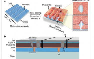 AEM：通过增材工程解决自组装单层钙钛矿太阳能模块中的扩展问题