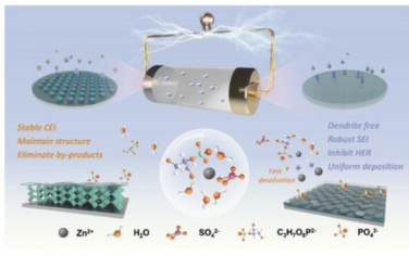 AFM：磷酸化电解质通过双坚固电极-电解质界面重建实现高性能锌金属电池